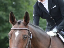 IMG_0263_web